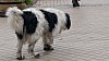 7_142903.jpg 7_142903.jpg