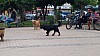 7_143018.jpg 7_143018.jpg