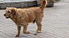 7_143042.jpg 7_143042.jpg