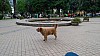 7_143045.jpg 7_143045.jpg