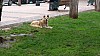 7_143252.jpg 7_143252.jpg