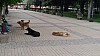 7_143635.jpg 7_143635.jpg