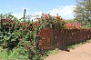 3456.jpg 3456.jpg