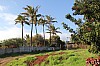 3842.jpg 3842.jpg