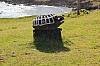 4794.jpg 4794.jpg