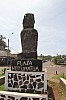 4905.jpg 4905.jpg