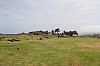 4932.jpg 4932.jpg