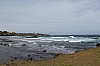 4937.jpg 4937.jpg