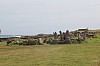 4989.jpg 4989.jpg