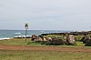 4990.jpg 4990.jpg