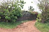 5010.jpg 5010.jpg