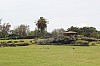 5050.jpg 5050.jpg