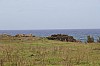 5090.jpg 5090.jpg