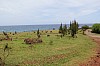 5091.jpg 5091.jpg