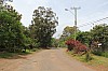 5156.jpg 5156.jpg