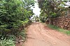 5175.jpg 5175.jpg