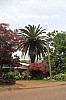 5186.jpg 5186.jpg