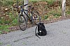 3849.jpg 3849.jpg