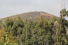 3871.jpg 3871.jpg