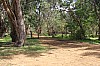 3894.jpg 3894.jpg