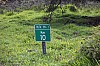 3899.jpg 3899.jpg