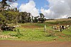 3907.jpg 3907.jpg