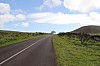 3919.jpg 3919.jpg