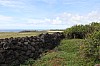 3921.jpg 3921.jpg