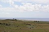 3924.jpg 3924.jpg