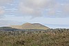 3931.jpg 3931.jpg