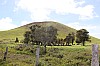 3940.jpg 3940.jpg