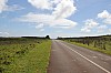3949.jpg 3949.jpg
