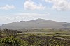 3962.jpg 3962.jpg