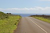 3972.jpg 3972.jpg