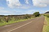 3976.jpg 3976.jpg
