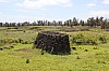 3981.jpg 3981.jpg