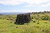 3982.jpg 3982.jpg