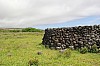 3985.jpg 3985.jpg