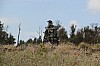4011.jpg 4011.jpg