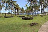4045.jpg 4045.jpg