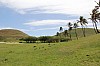 4055.jpg 4055.jpg