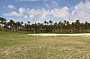 4069.jpg 4069.jpg