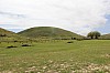 4072.jpg 4072.jpg