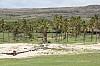 4077.jpg 4077.jpg