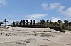 4099.jpg 4099.jpg