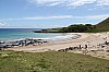 4118.jpg 4118.jpg