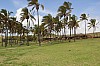 4119.jpg 4119.jpg