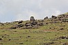4130.jpg 4130.jpg