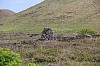 4166.jpg 4166.jpg