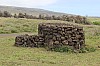 4176.jpg 4176.jpg